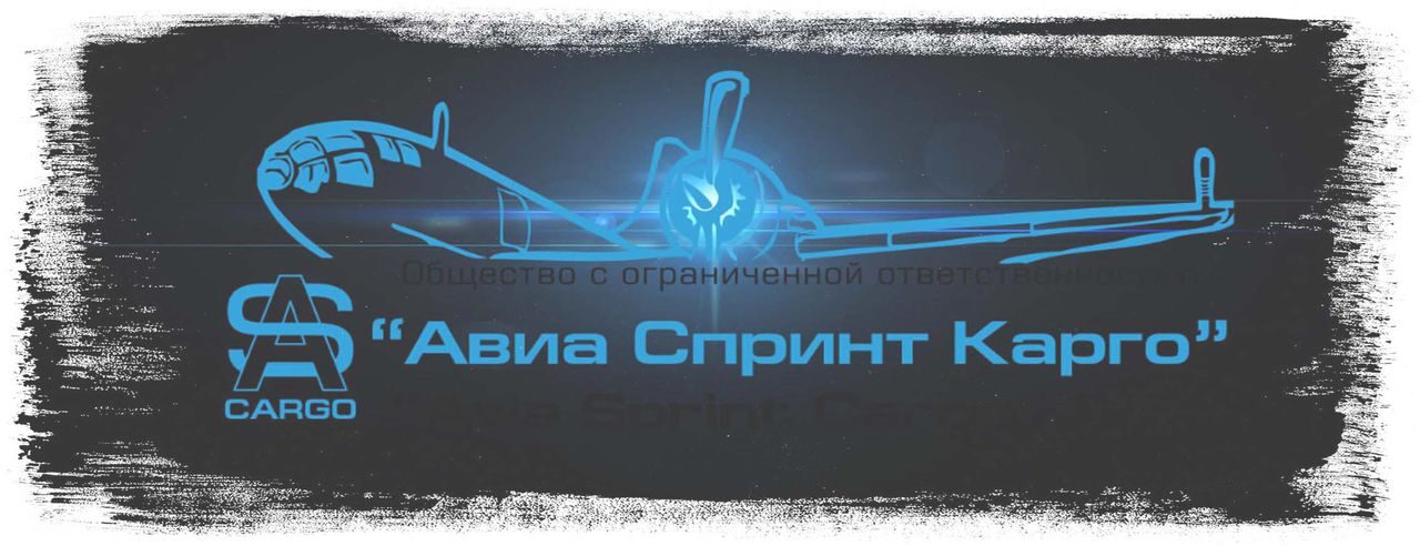 авиа перевозки грузов. наша команда. Авиа Спринт Карго