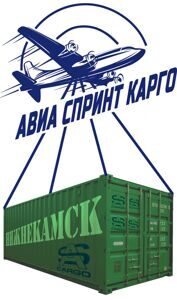 НИЖНЕКАМСК услуги авиаперевозки груза